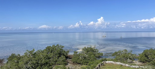 Seaview Apartments